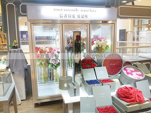 J004浙江杭州roseonly花店冰柜冷柜